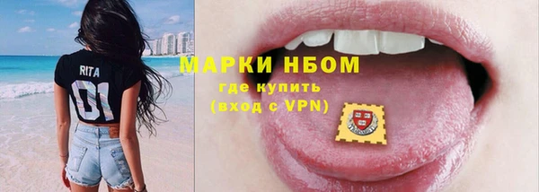 индика Мегион