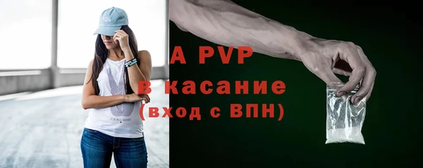 гидра Богородицк