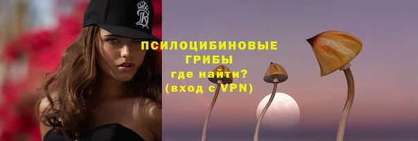 индика Мегион