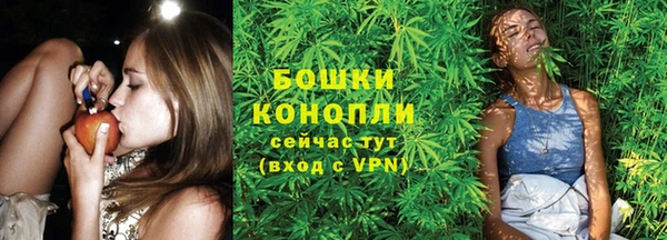 дмт Михайлов