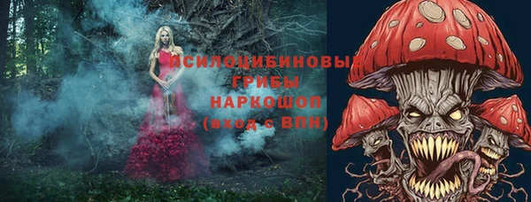 героин Богданович