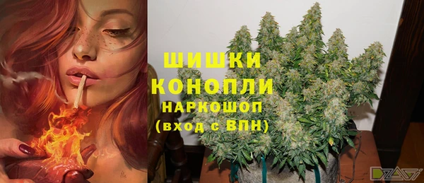 ГАЛЛЮЦИНОГЕННЫЕ ГРИБЫ Михайловск