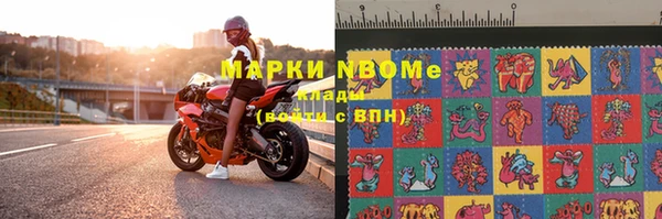 индика Мегион