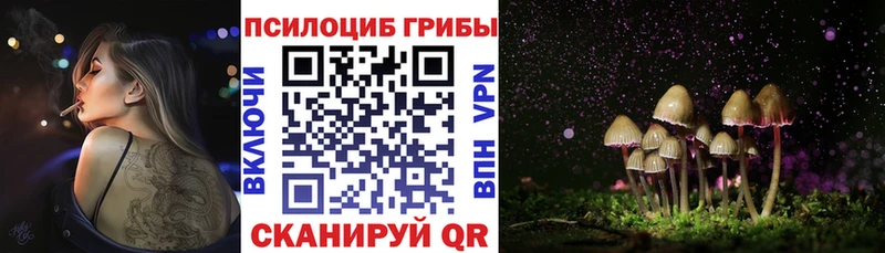 цена   Фатеж  Псилоцибиновые грибы ЛСД 